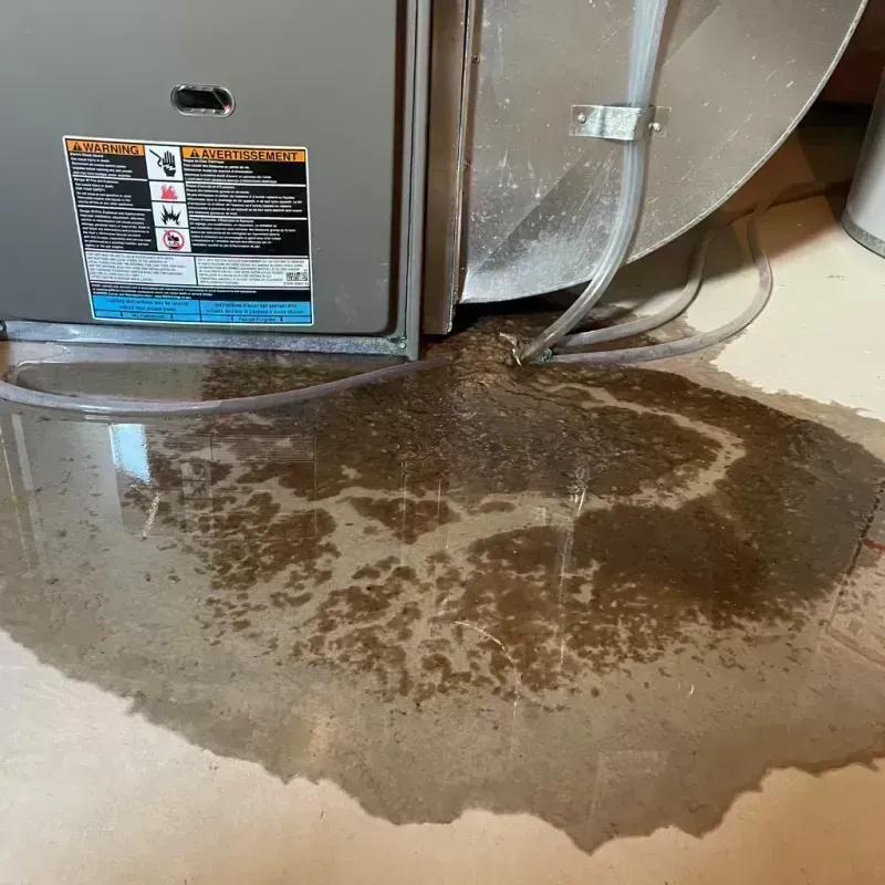 Appliance Leak Cleanup in Berea, KY